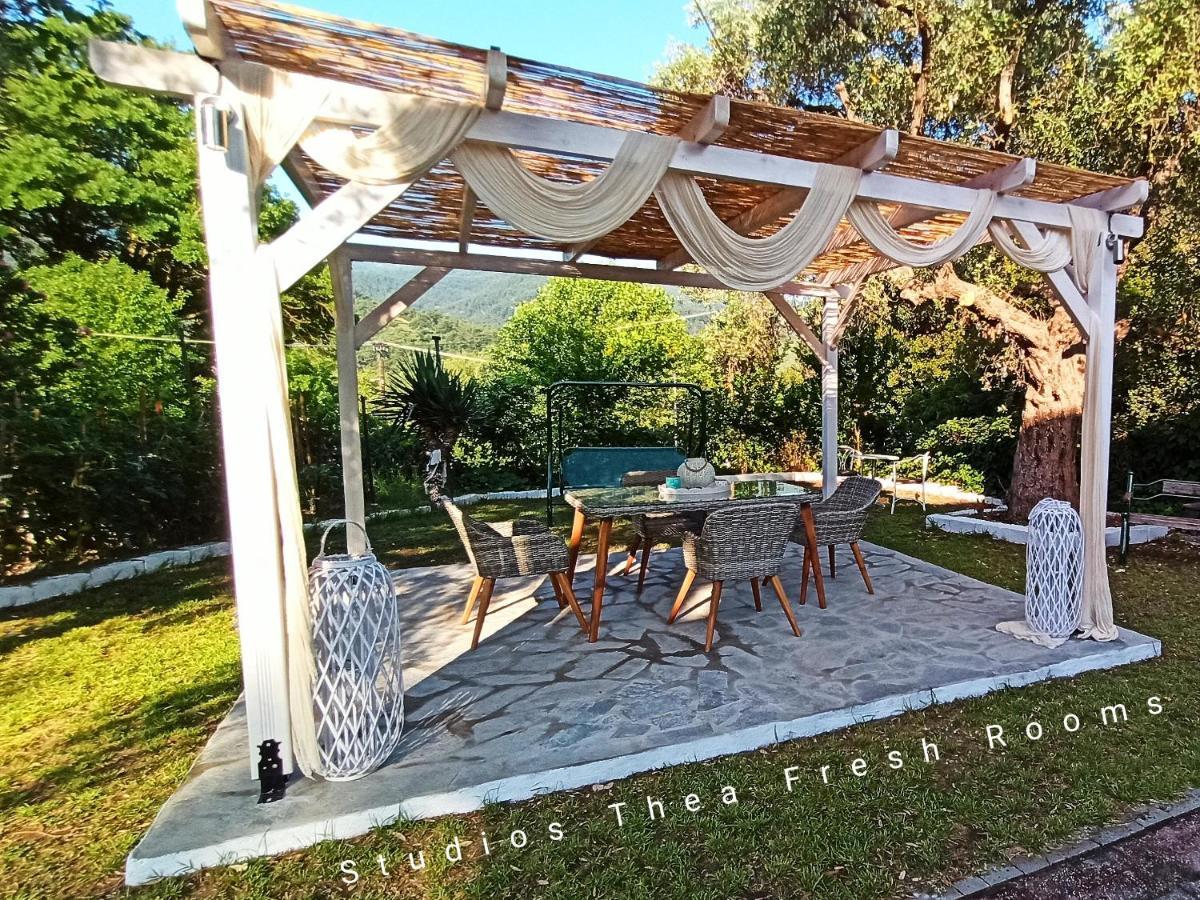 Studios Thea Fresh Rooms Thassos Εξωτερικό φωτογραφία
