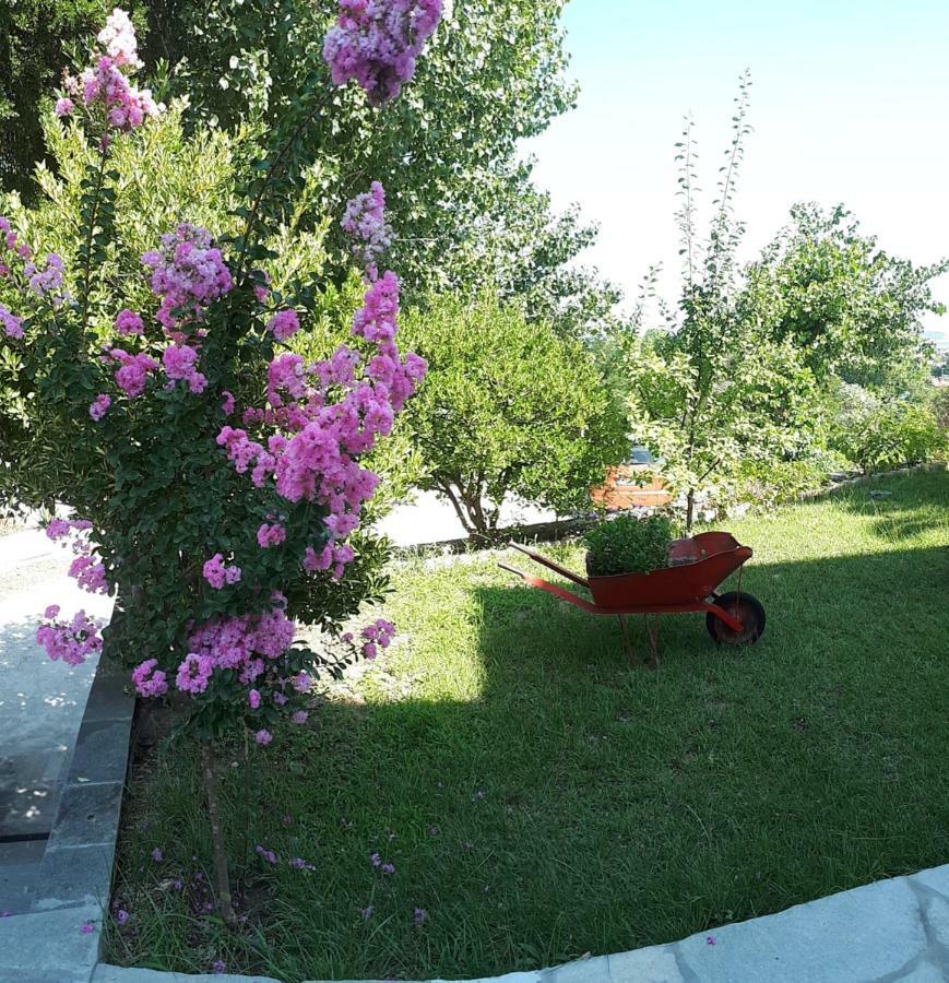 Studios Thea Fresh Rooms Thassos Εξωτερικό φωτογραφία