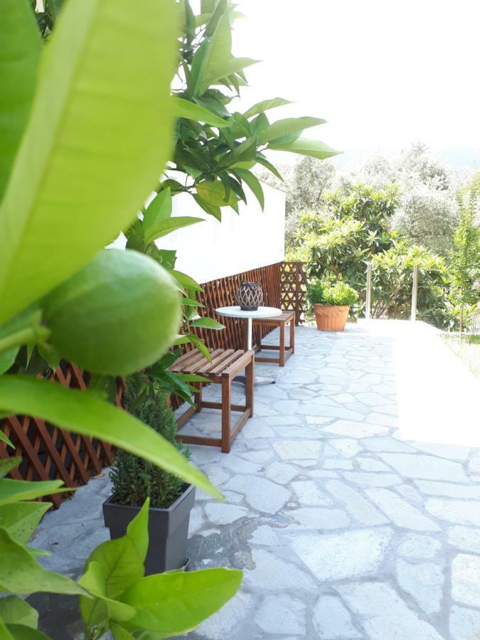 Studios Thea Fresh Rooms Thassos Εξωτερικό φωτογραφία