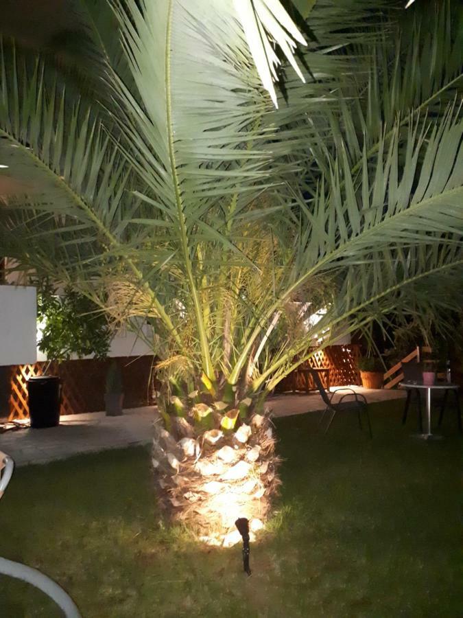 Studios Thea Fresh Rooms Thassos Εξωτερικό φωτογραφία